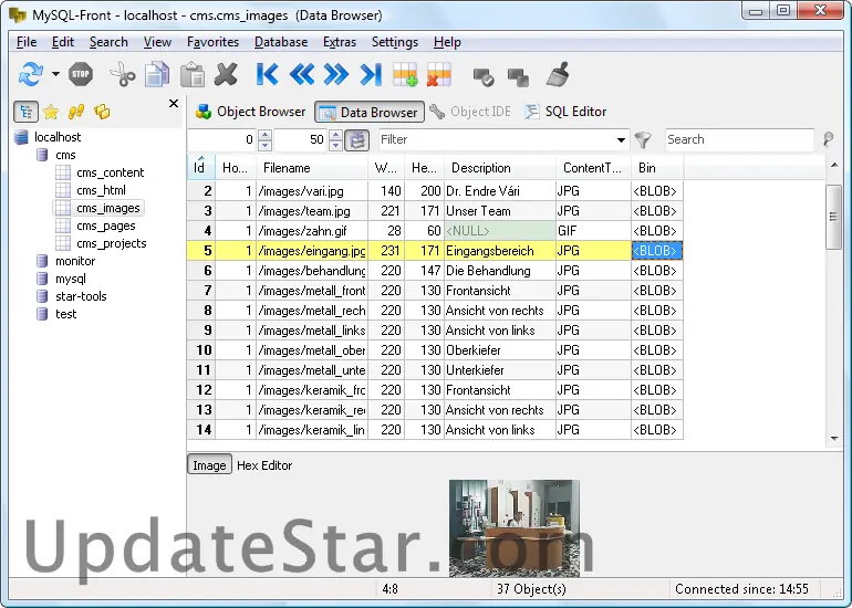 MySQL-Front 5.1