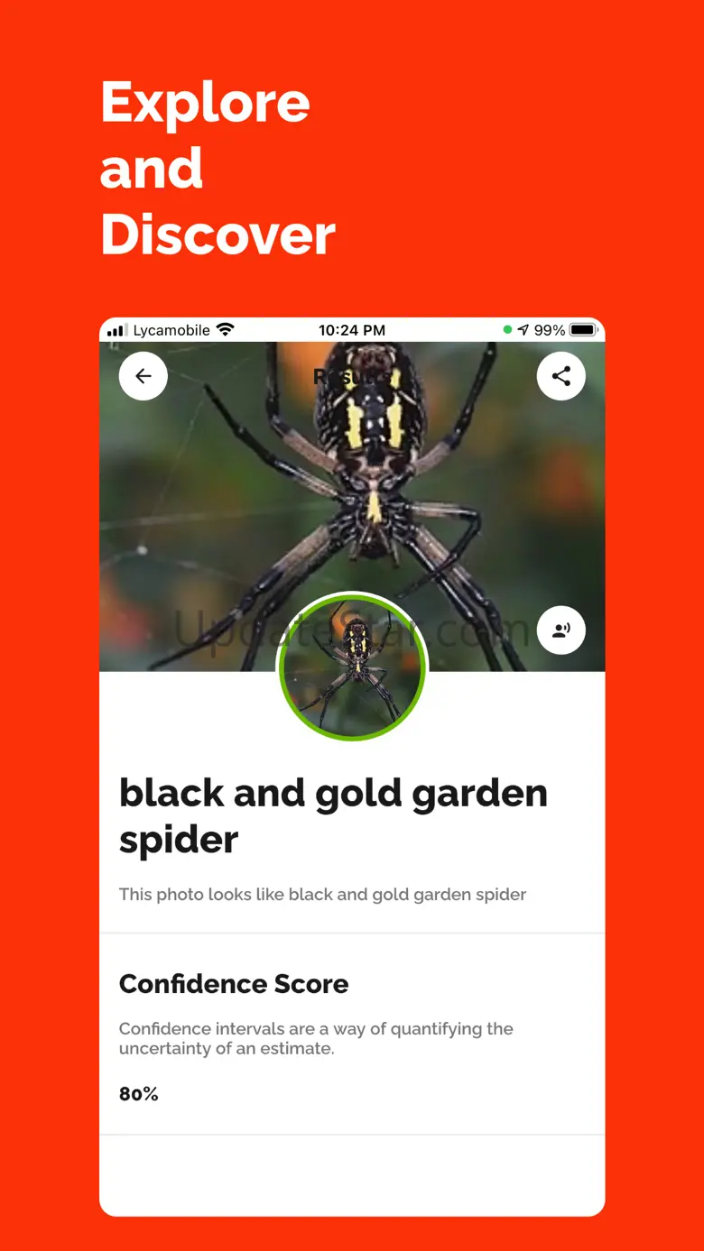 Identify Anything With AI 73.0.0