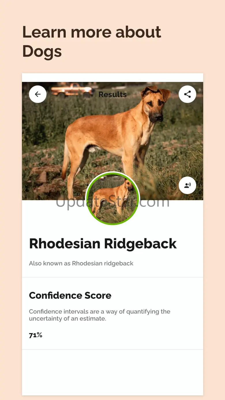 Dog Breed Identifier: Dog Care 73.0.0