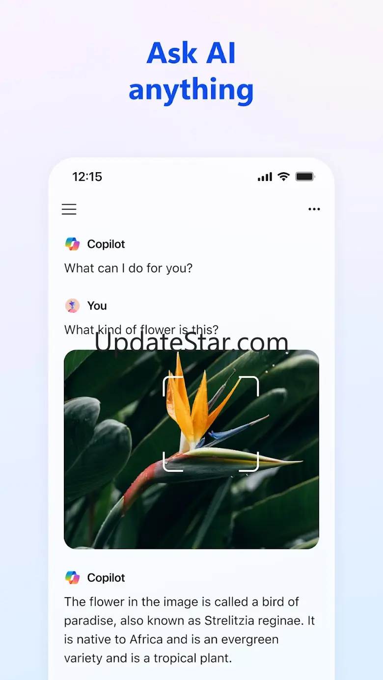 Microsoft Copilot 28.6.420619003