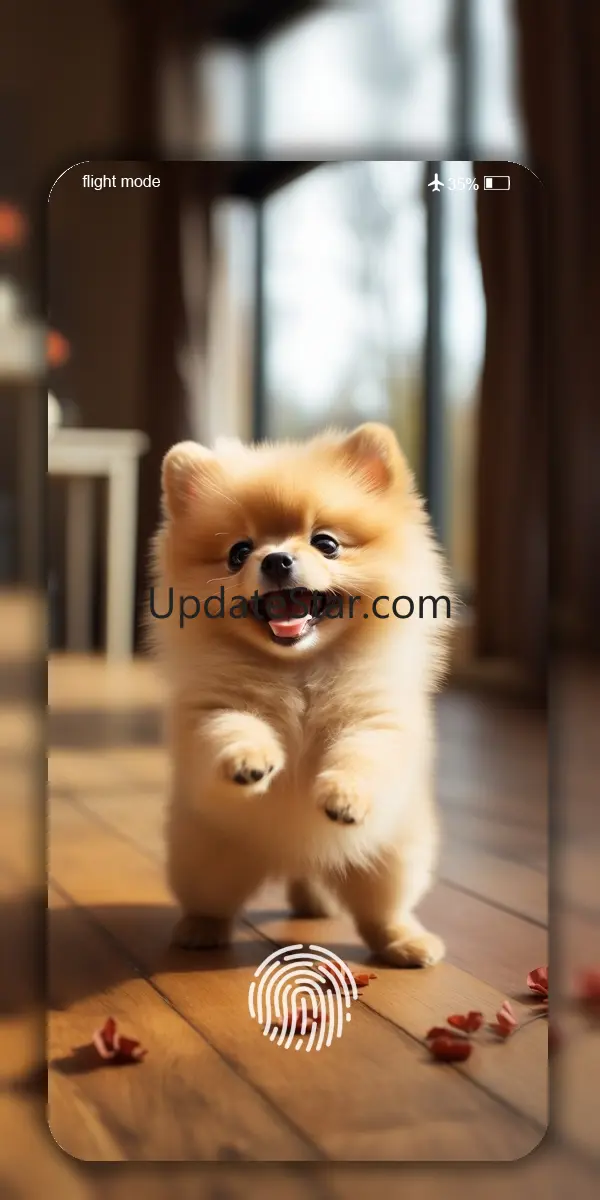 Cute Dog & Puppy Wallpaper 4K 0.355.3d.5