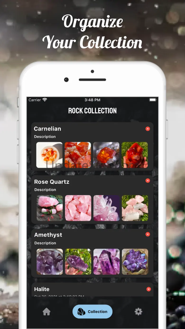 Stone Identifier Rock ID Scan 2.4.0