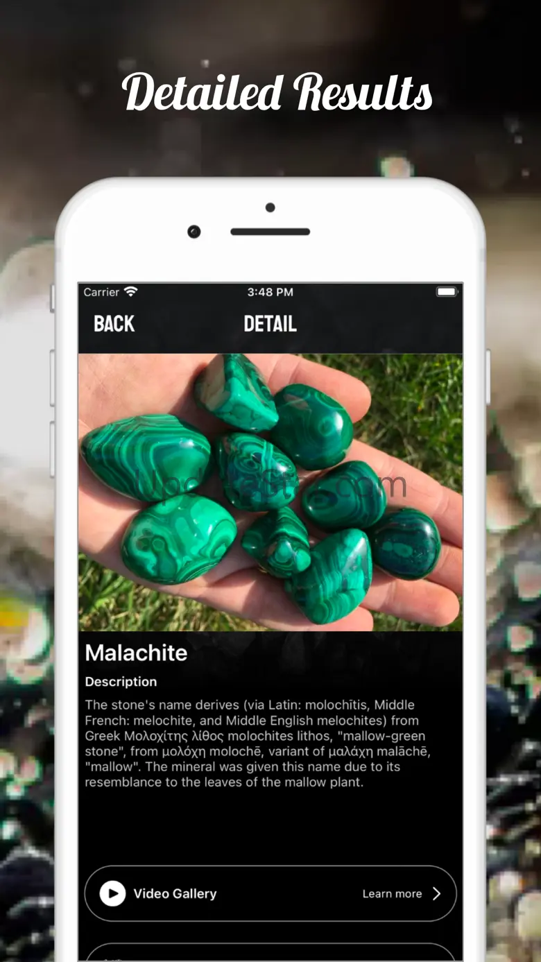 Stone Identifier Rock ID Scan 2.4.0