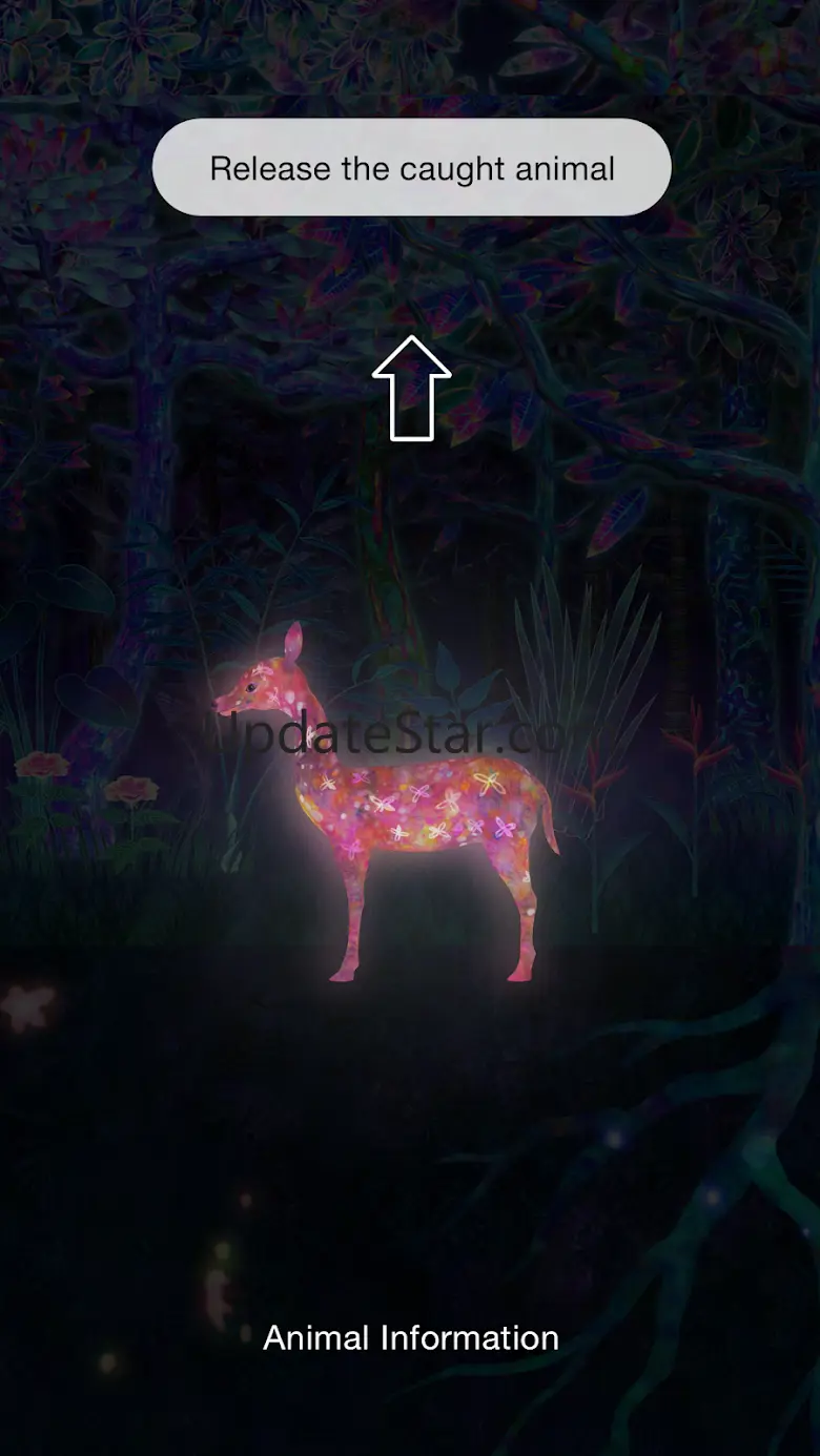 Fukuoka / Collecting Forest 1.0.20