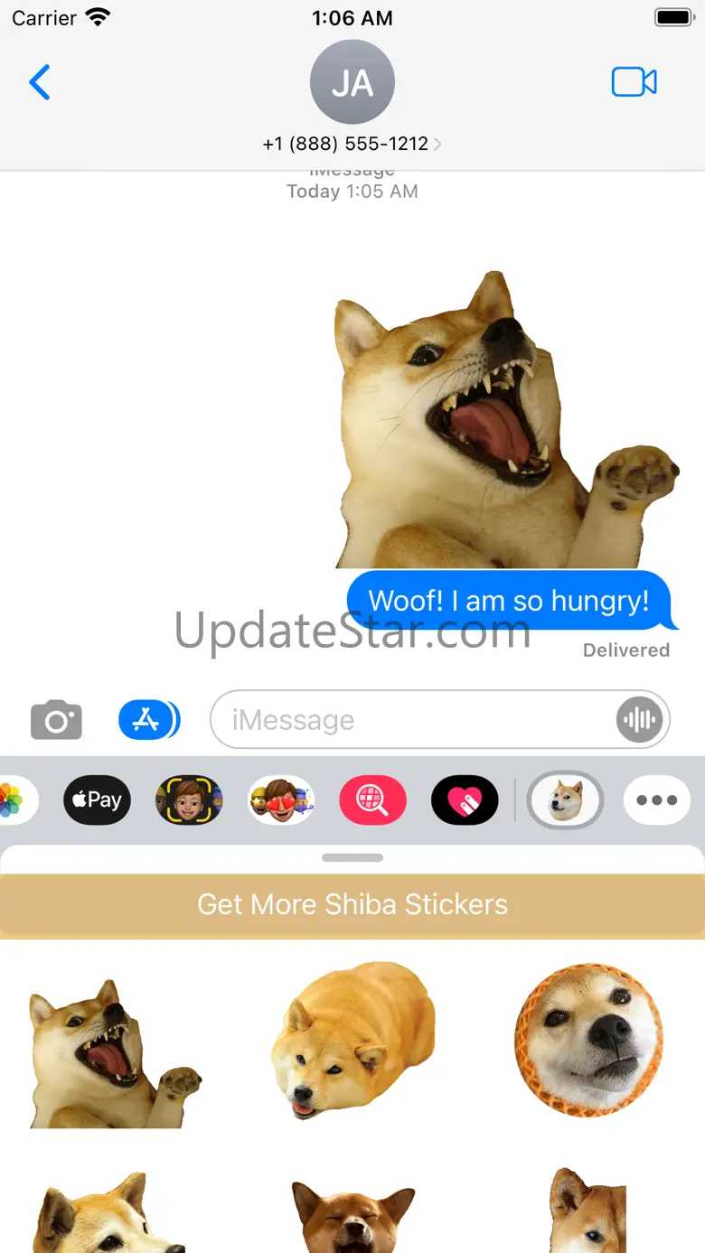 Shiba Dog's Head 4.1