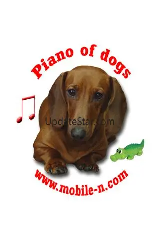 Piano of Dogs