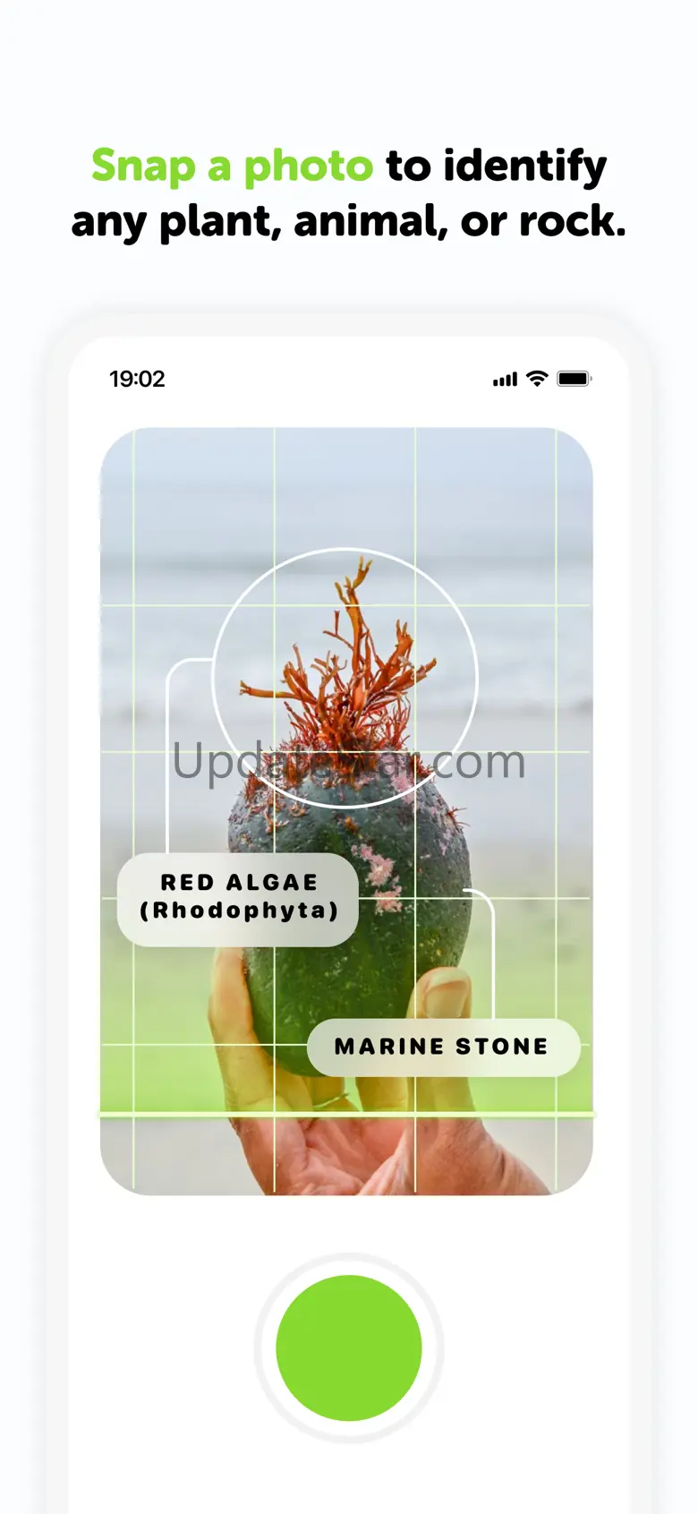 BioExpert #1 Nature Identifier 0.0.9