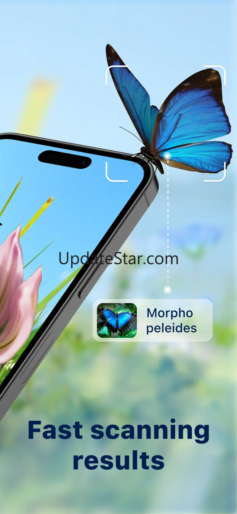 Bug Identifier: Butterfly ID 2.0
