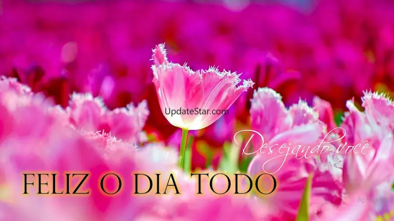 Imagem de Bom Dia 9.09.5.2