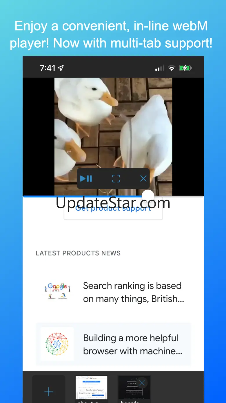 Frost WebM Player Browser 2.6
