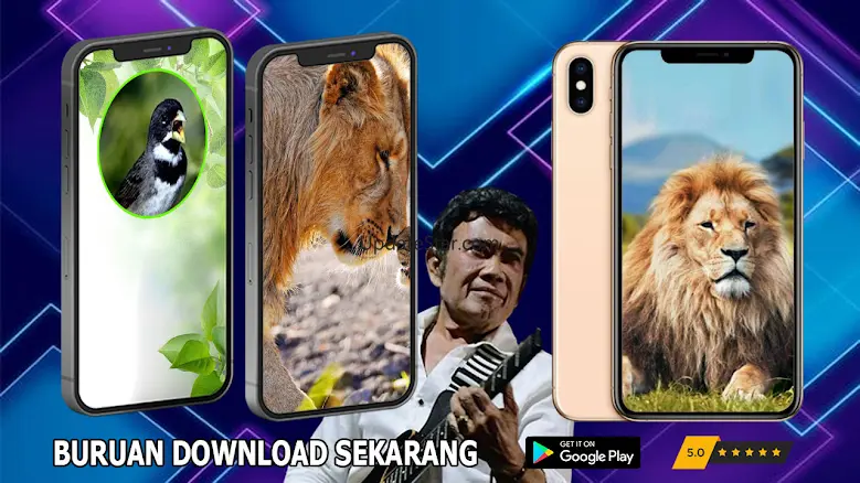 Rhoma Irama Album Mp3 Offline 1.0.11