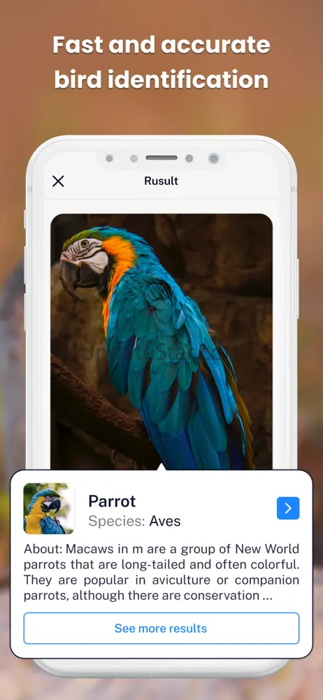 Bird ID - Picture Identifier 71.0