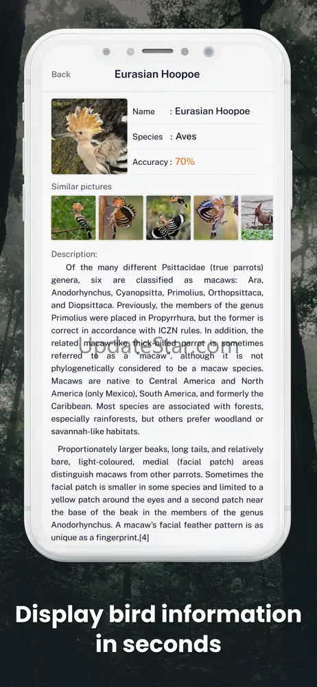 Bird ID - Picture Identifier 71.0
