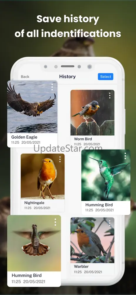 Bird ID - Picture Identifier 71.0