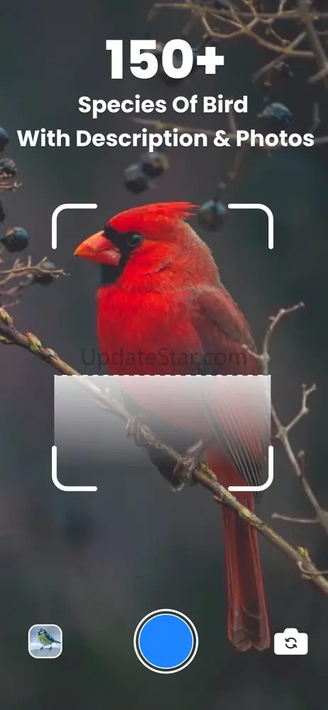 Bird ID - Picture Identifier 71.0
