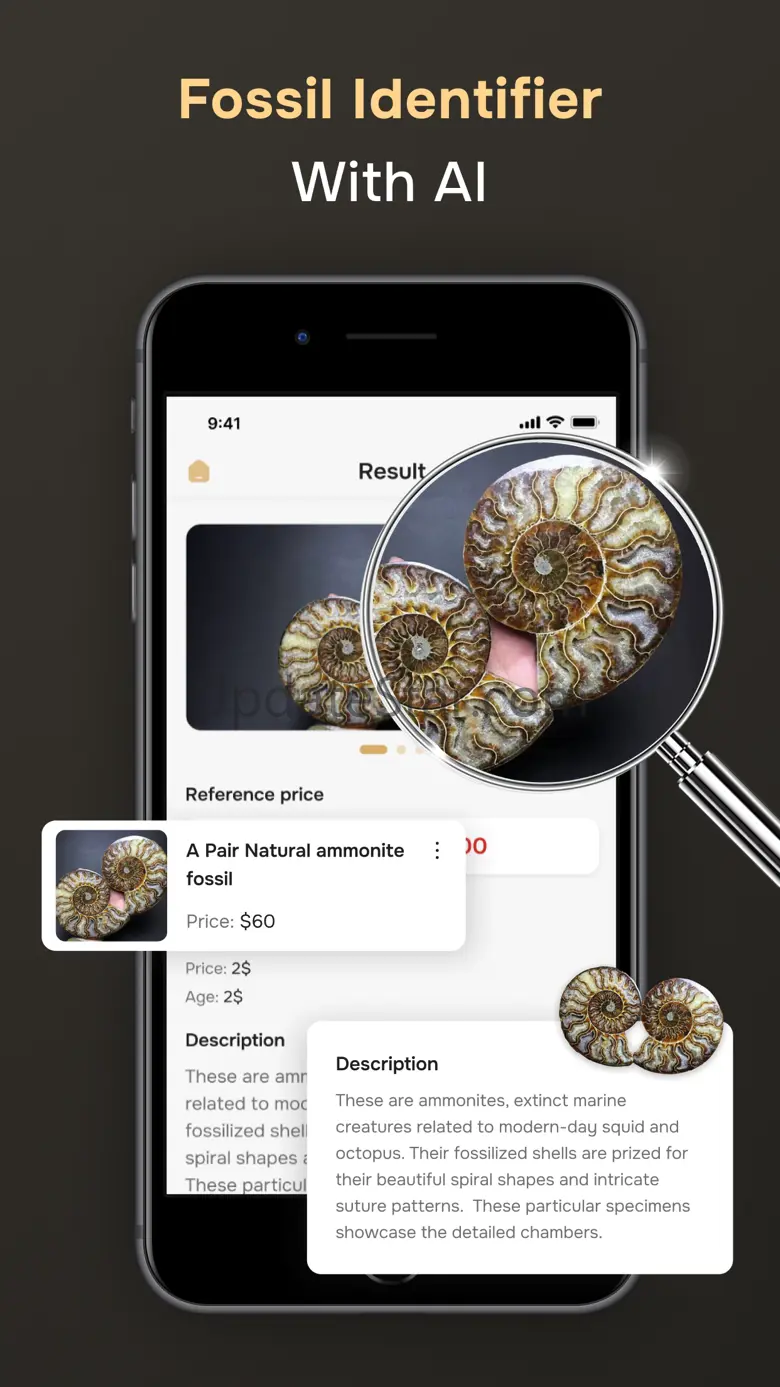 Fossil Identifier 1.0.3