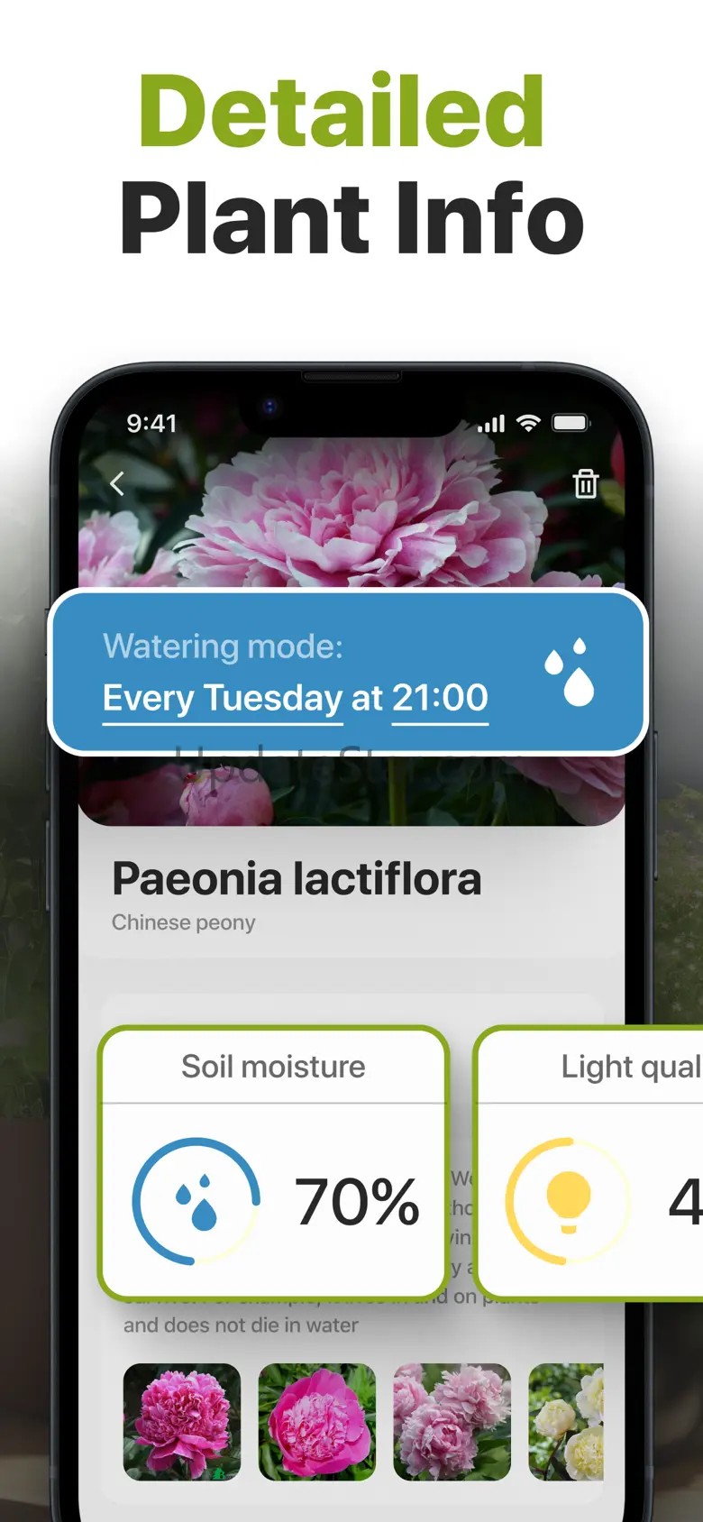 Plant Identifier & Flower Care 1.0.0