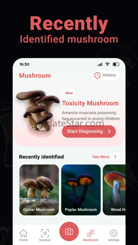 Mushroom Identifier Fungus ID 1.8.2