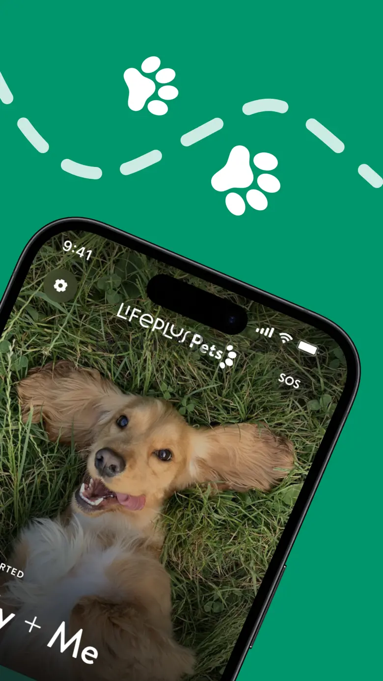 Lifeplus Pets 1.0.2