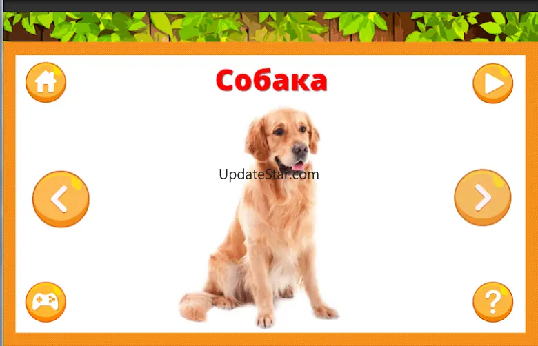Learning animals - Flashcards 15_04_2025