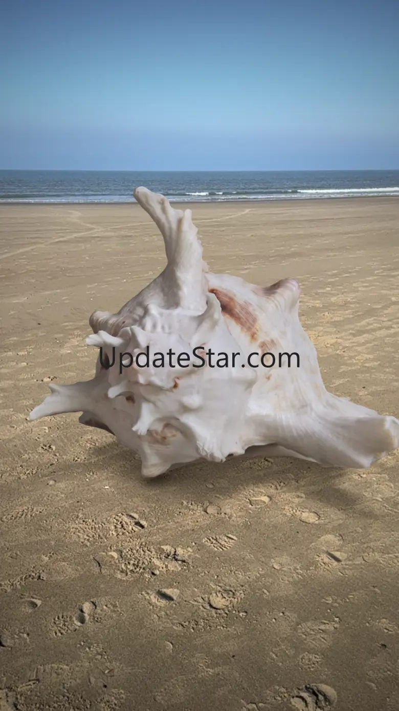 3D Scan Pro 1.7