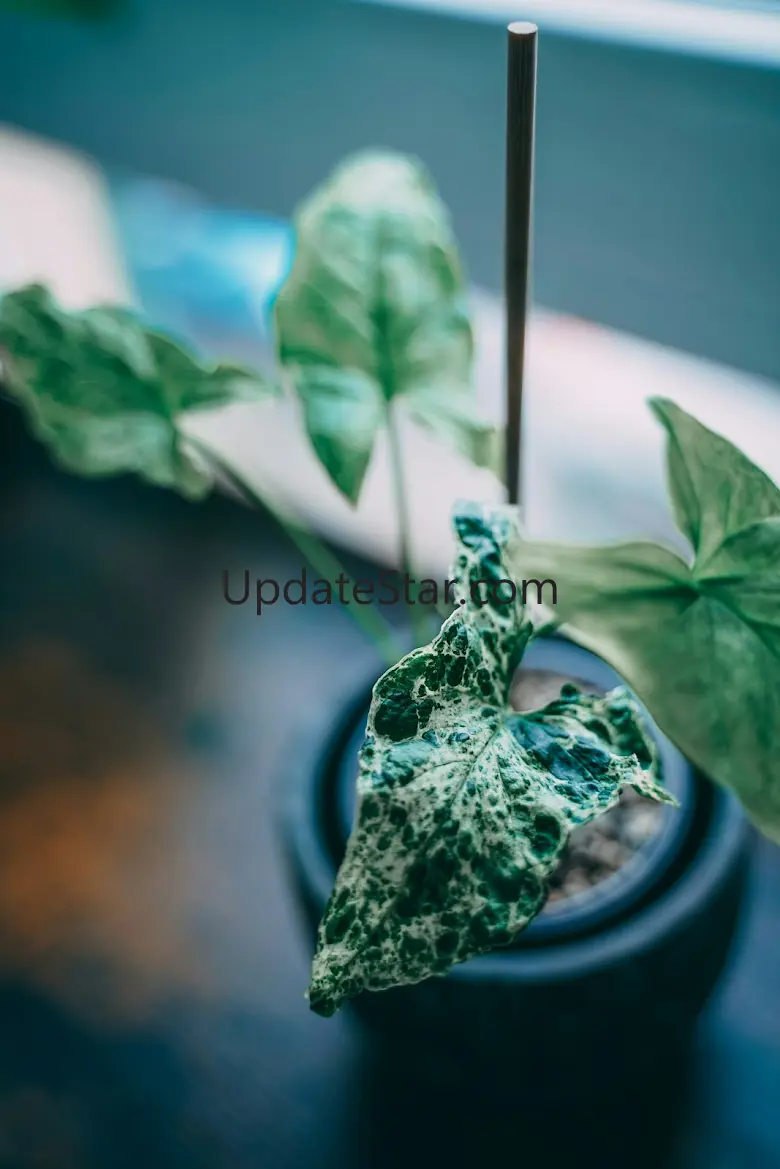 4K smart wallpapers 1.0