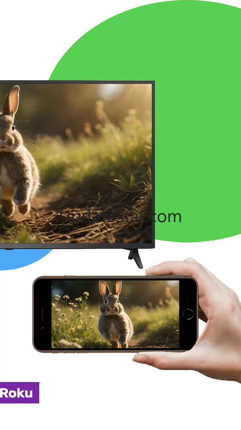 Mirroring for Chromecast 1.2