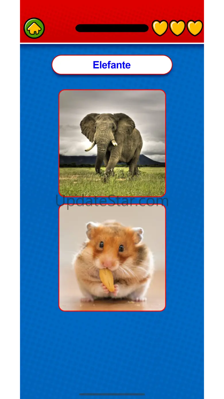 Mexican Spanish Flashcards 1.2