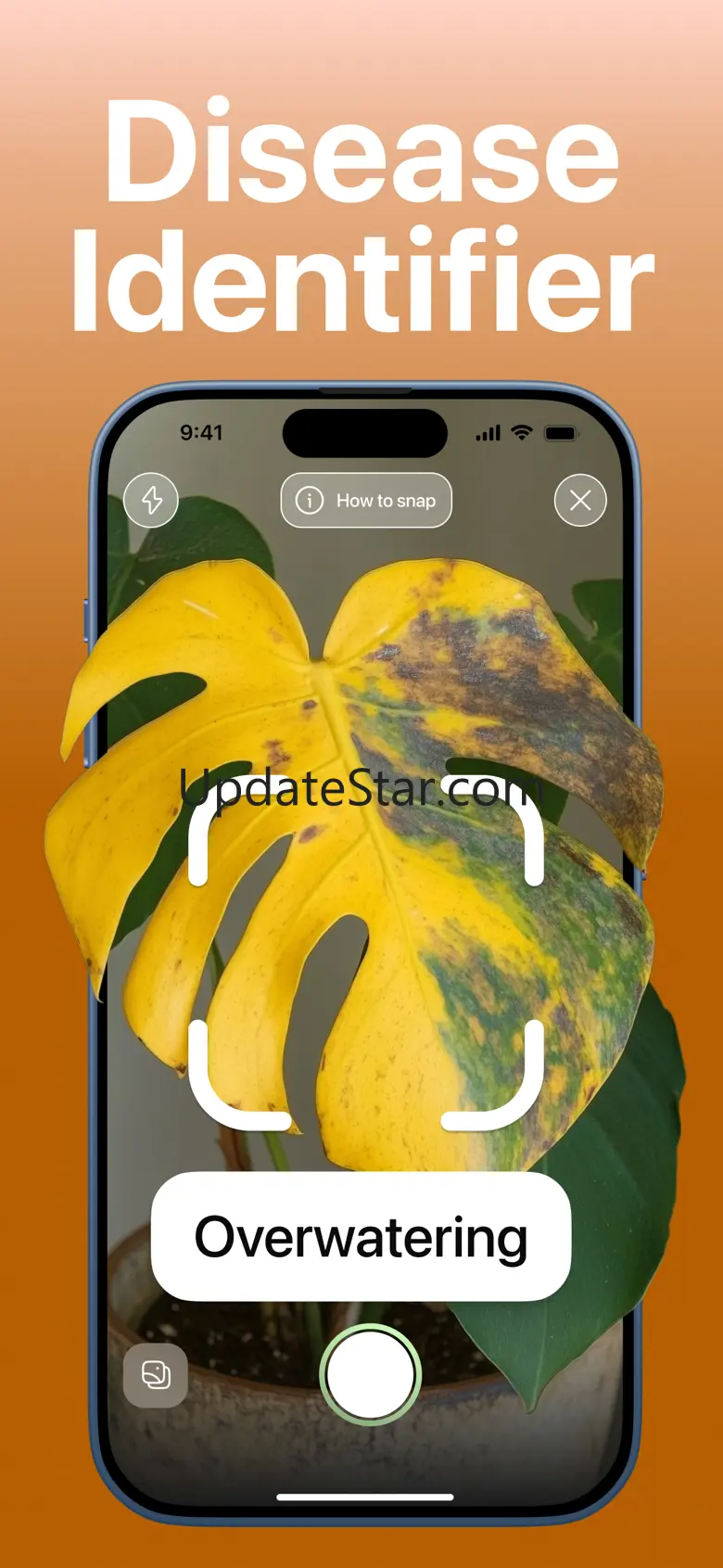 Plant Identifier mushroom ID 1.0