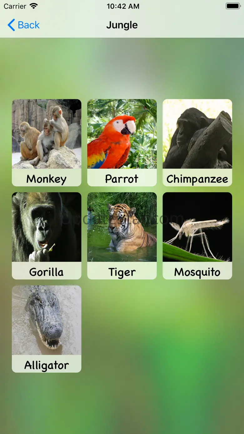 Fun Animal Sounds for Kids 4.1
