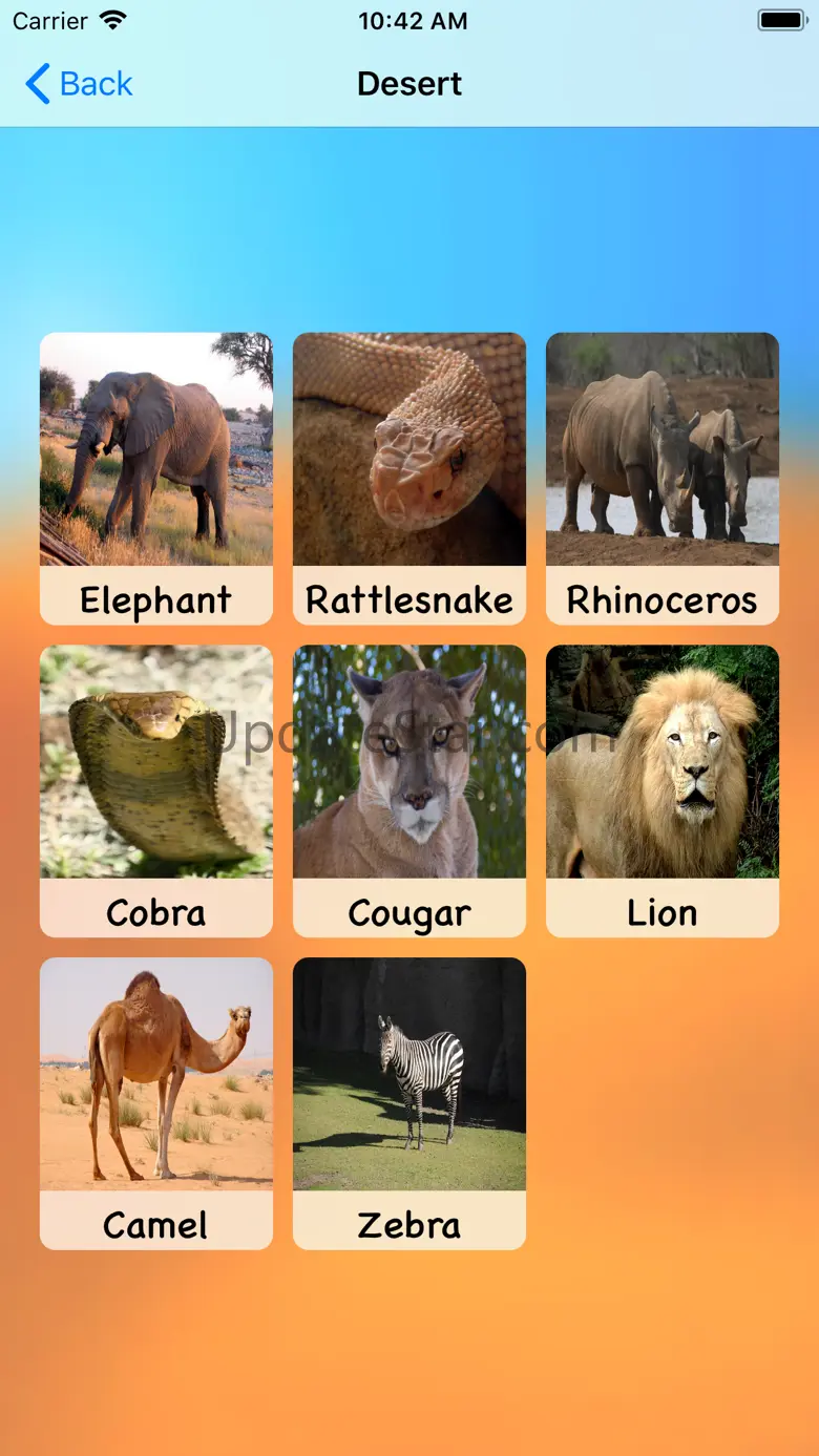 Fun Animal Sounds for Kids 4.1