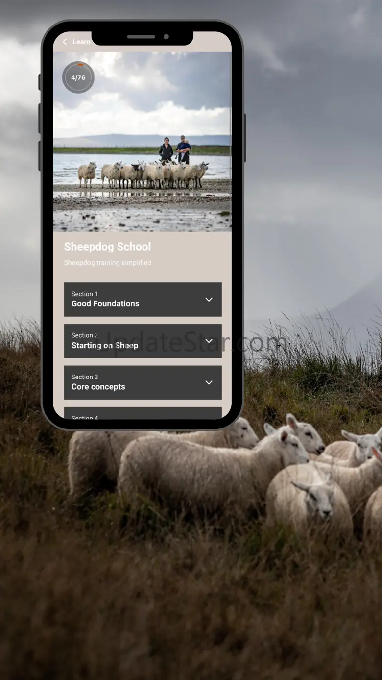 Sheepdog School 3.11.29