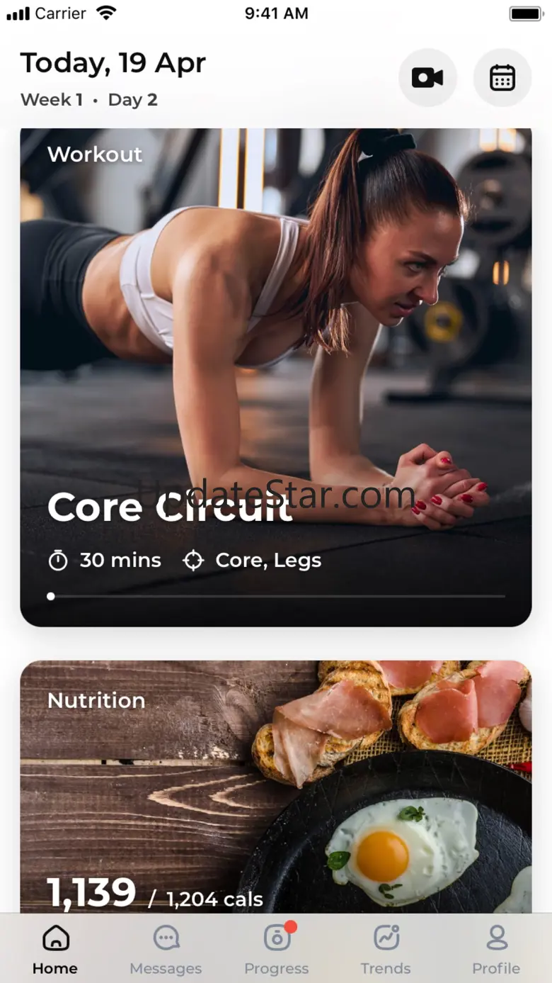 TaraFFit 3.5