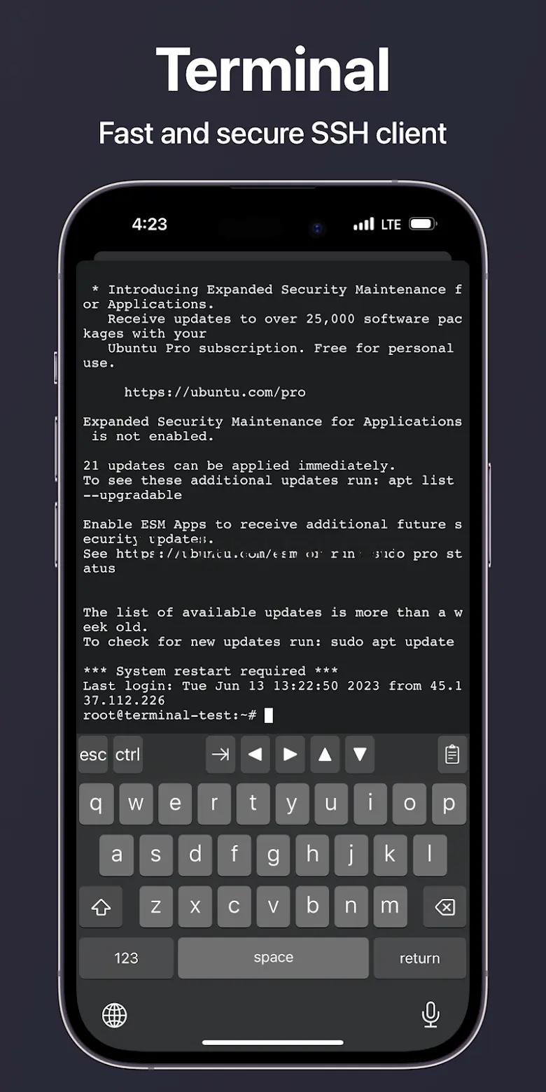Teste: API, Scripts & Terminal 7.6.1