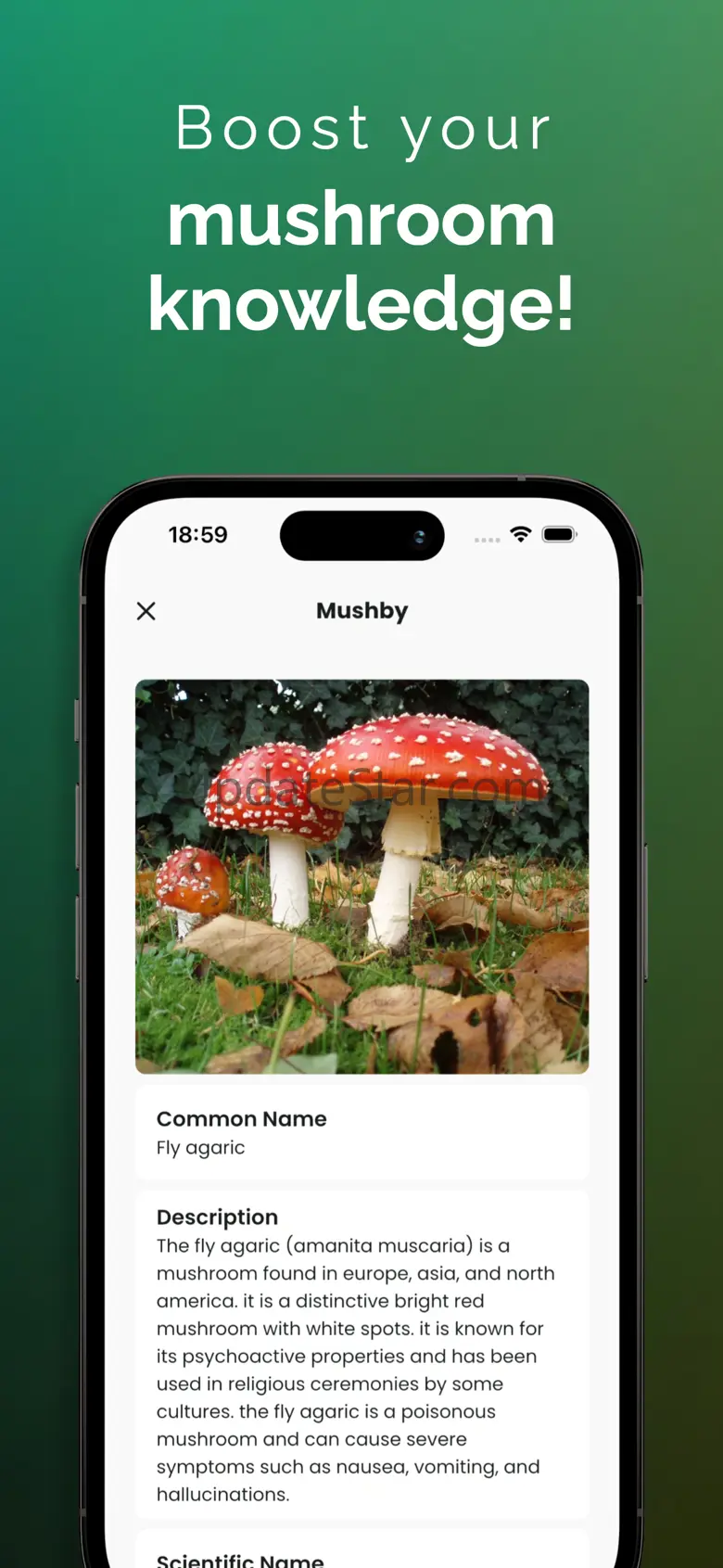 Mushroom Identifier - Mushby 3.0.0