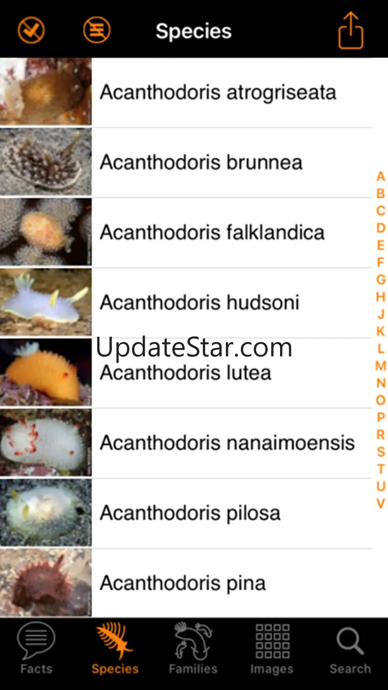Nudibranch ID Eastern Pacific 49.1