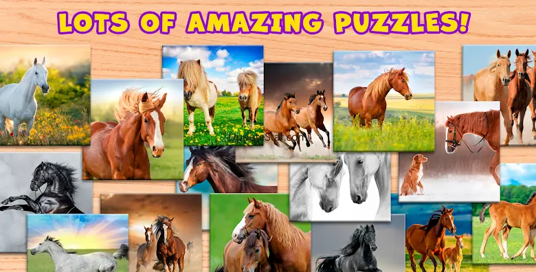 Horse Puzzle Game Offline 1.4.8