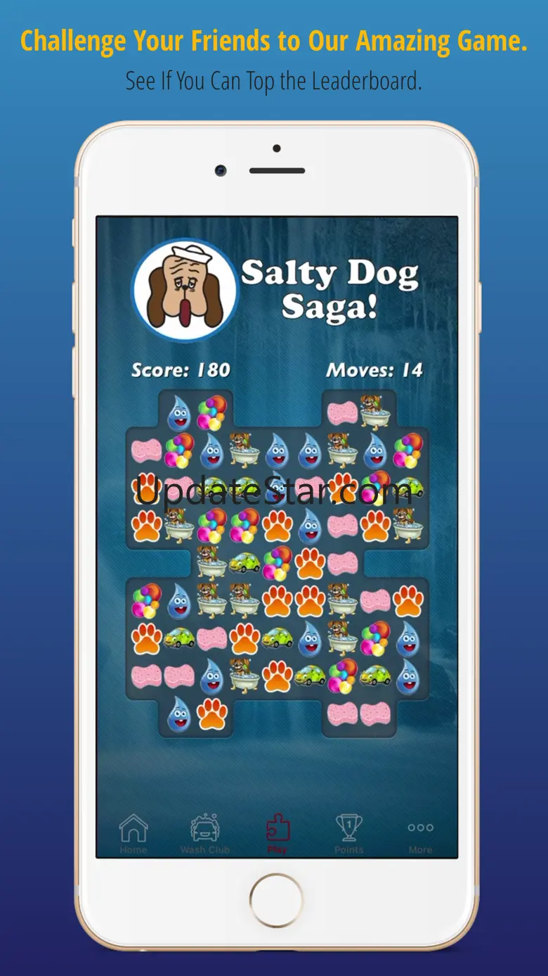 Salty Dog Car Wash 1.0