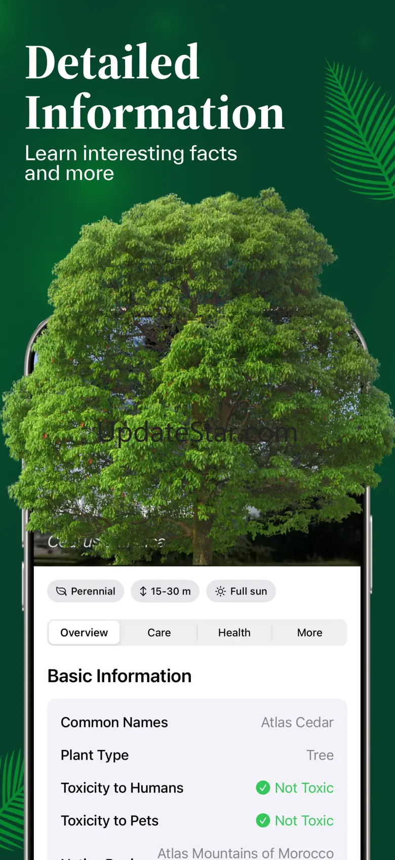 Tree Identifier゜ 1.0.4