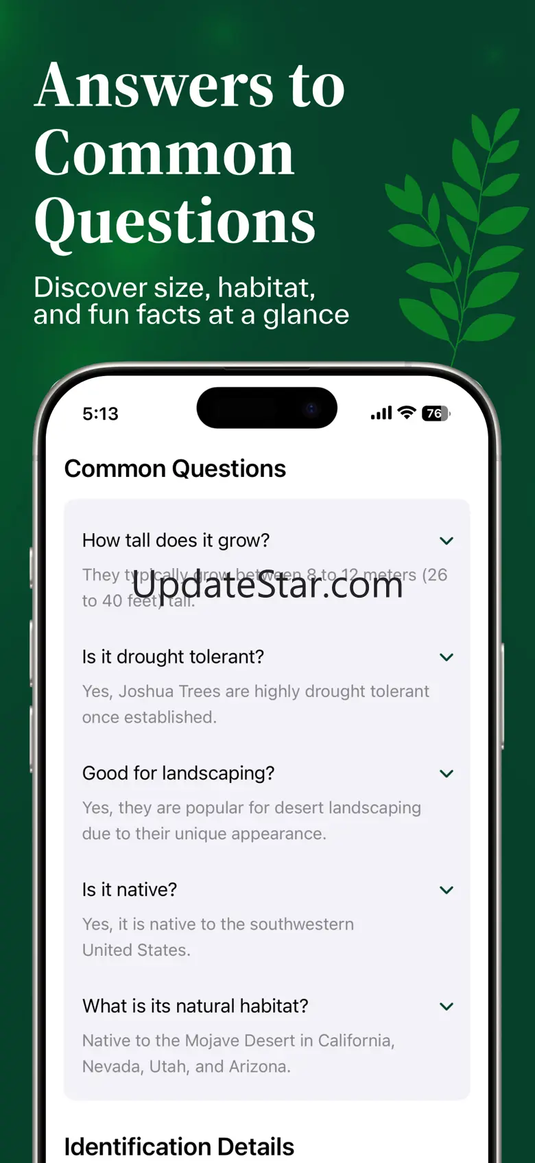 Tree Identifier゜ 1.0.4