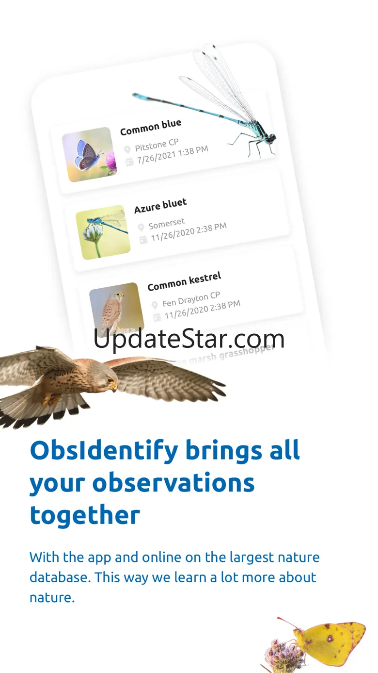 ObsIdentify 5.1