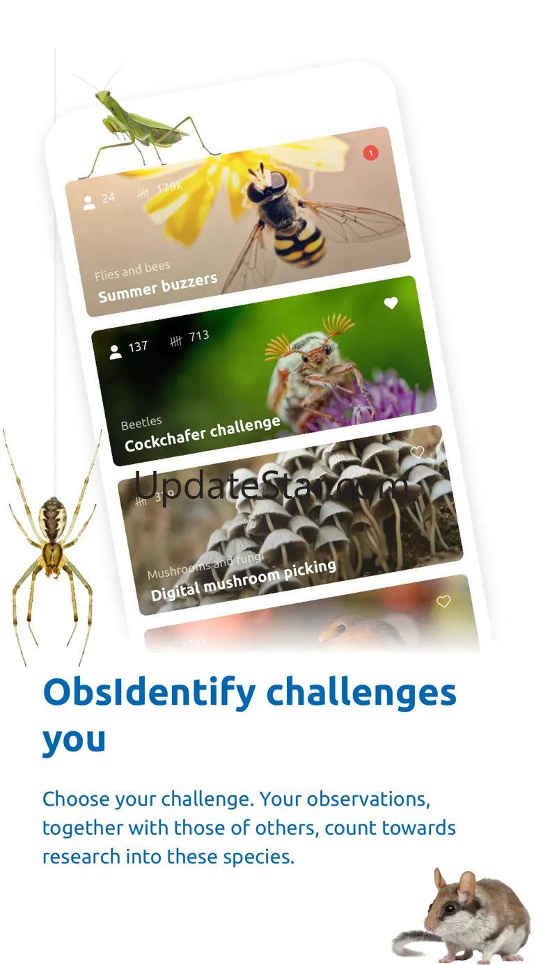 ObsIdentify 5.1