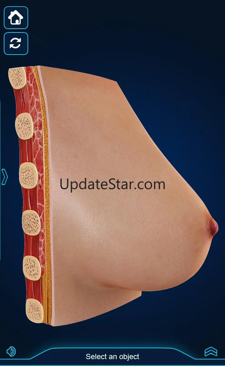 Breast Anatomy Pro. 2.2