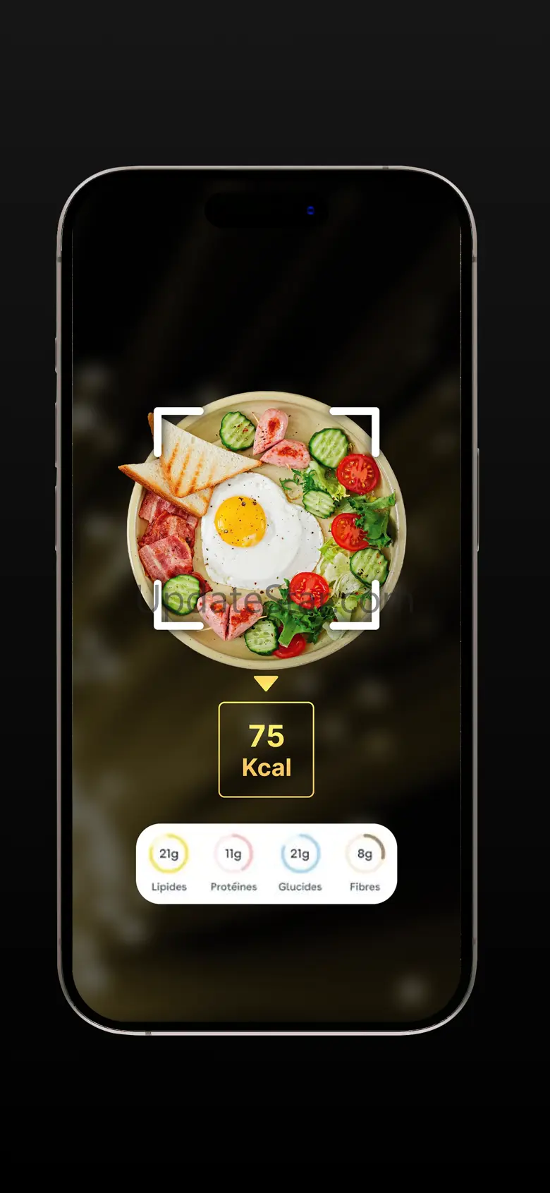 FitBalance VS 1.3