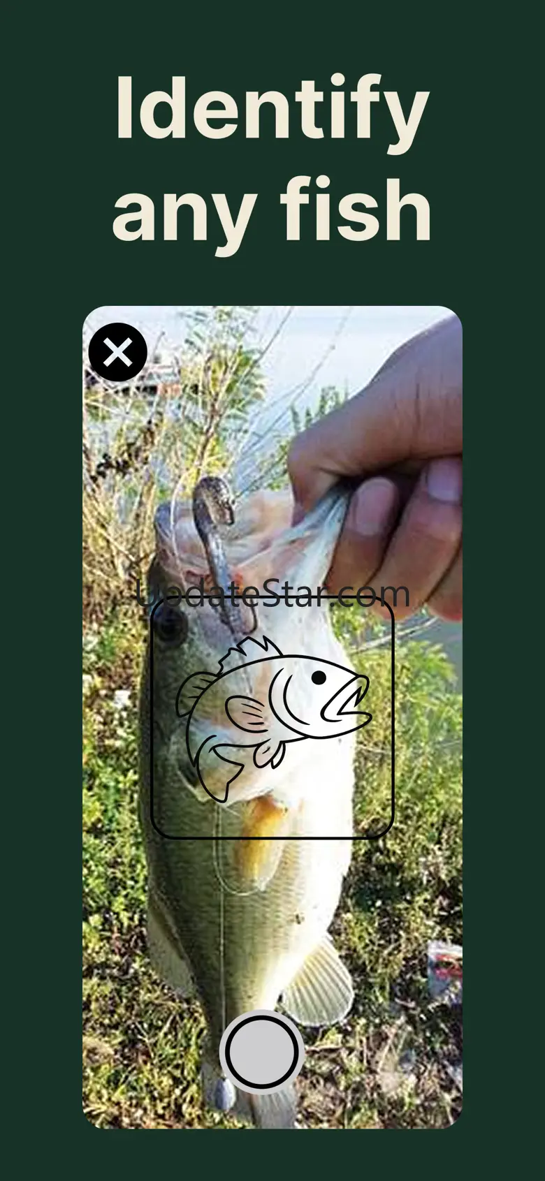 Catchr: Fish Identifier 1.1.0