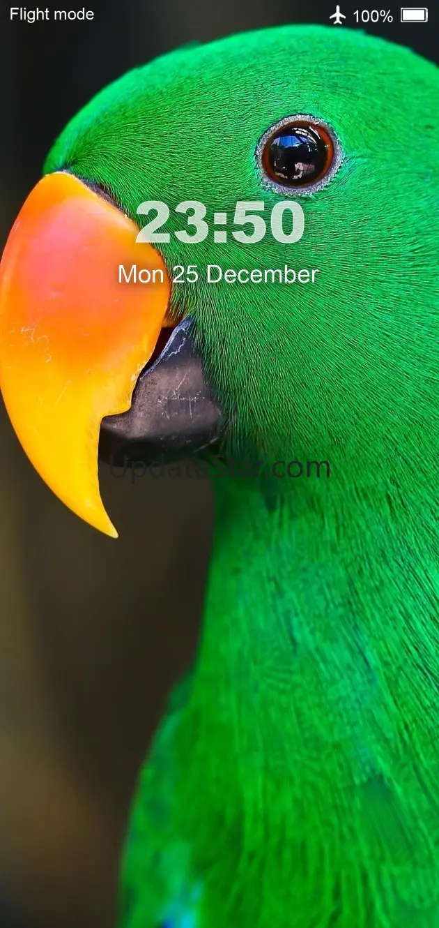 Bird Wallpaper HD 150.3d.4