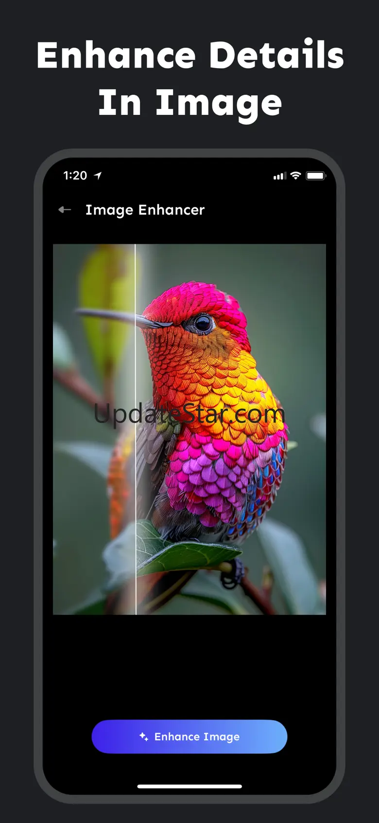 AI Photo Editor - PicDoro 1.0
