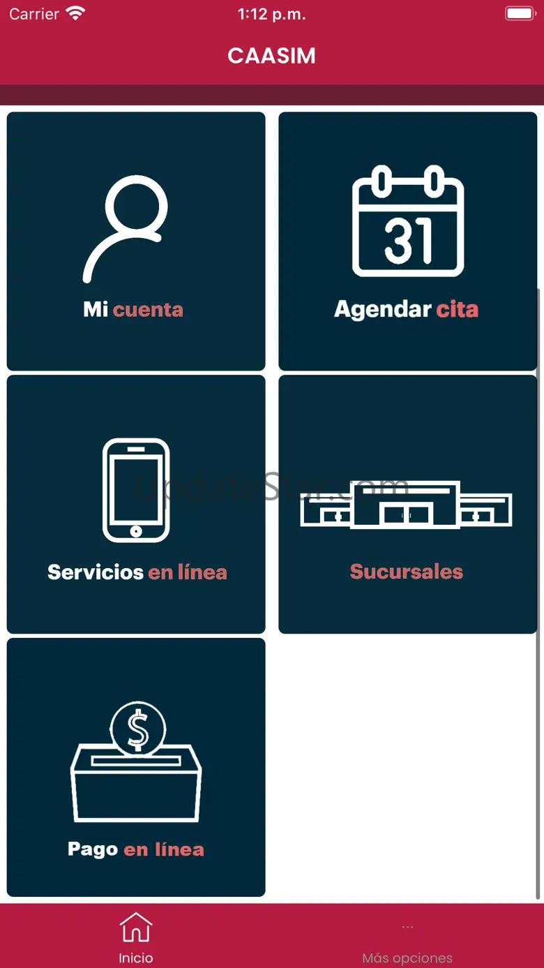 CAASIM 1.0.29