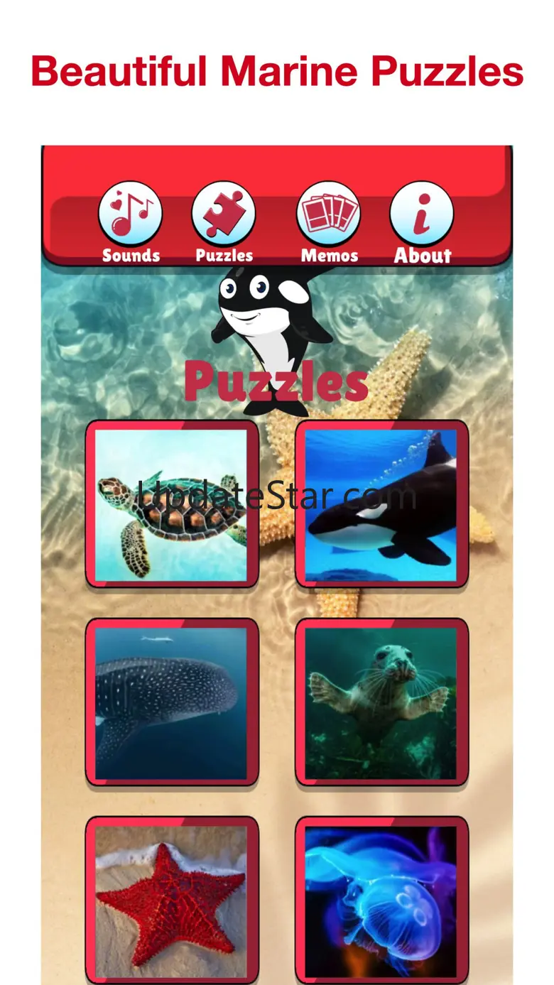 Angry Shark: Sea Animal Games 1.0
