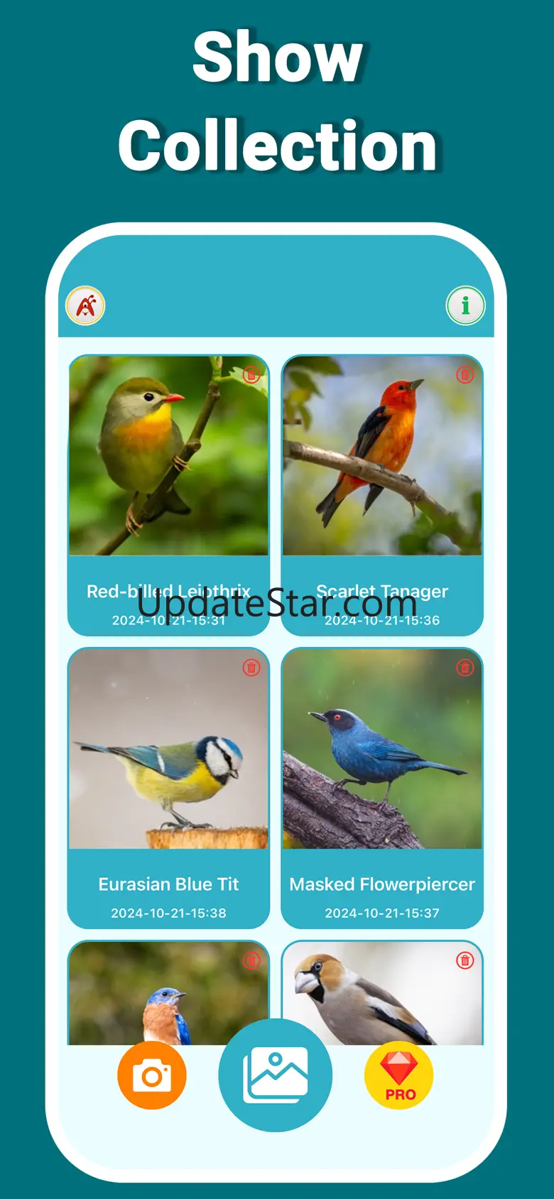 Bird Identifier WingID 1.0
